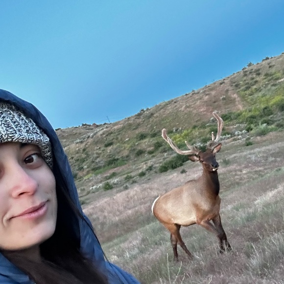 Meet your Posher, Tempest - Picture 3 of 3